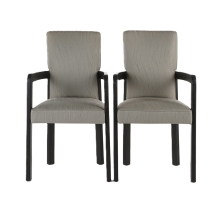 Пара стульев ELODEA